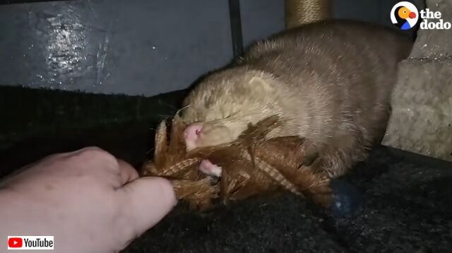 20220602_194226 (3)_batch