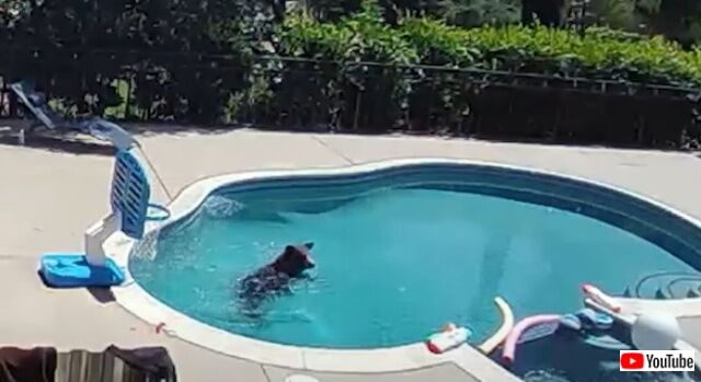 20220809_040442 (3)_batch