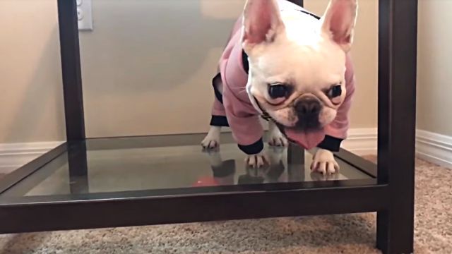 ballunderglass2