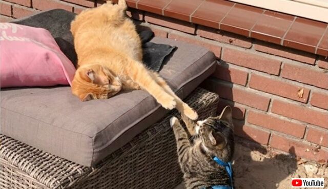 20221009_055536 (5)_batch