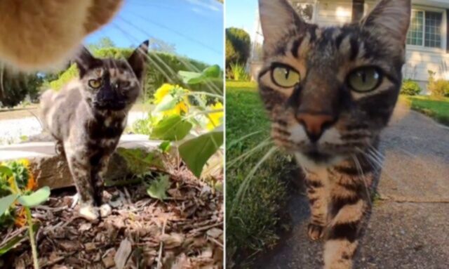 20240207_120208_batch