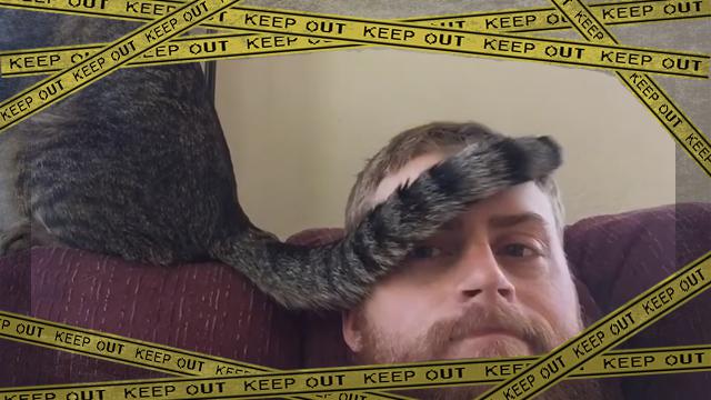 cat-tail1 [www-frame