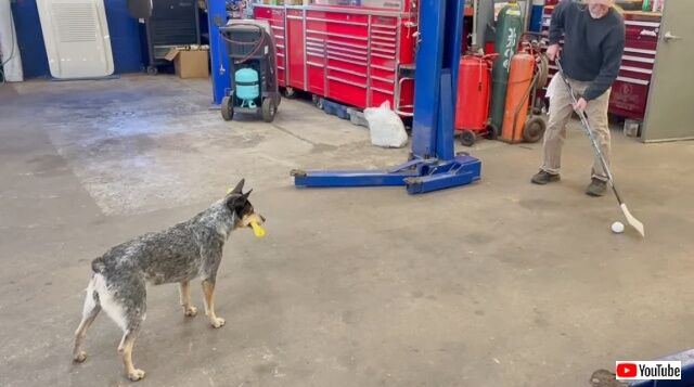 20221104_050324 (3)_batch