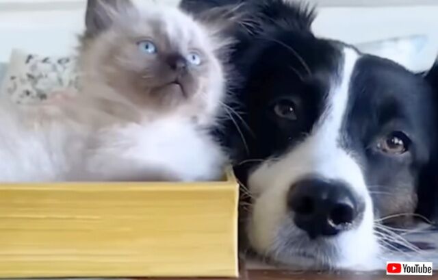 20230509_113927 (9)_batch