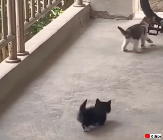 20230802_003555_batch