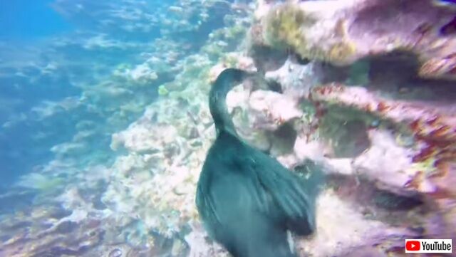 20220409_072035 (6)_batch