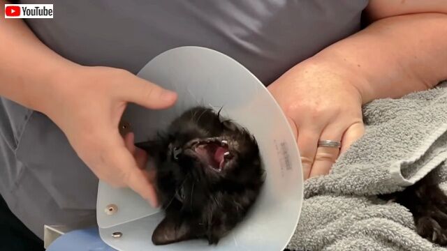 20220911_115838_batch