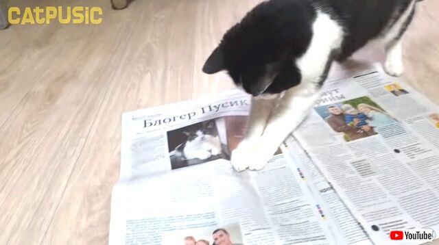 newspaper5_640