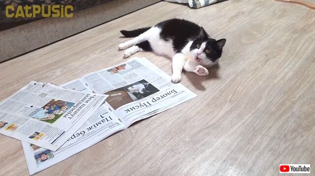 newspaper7_640
