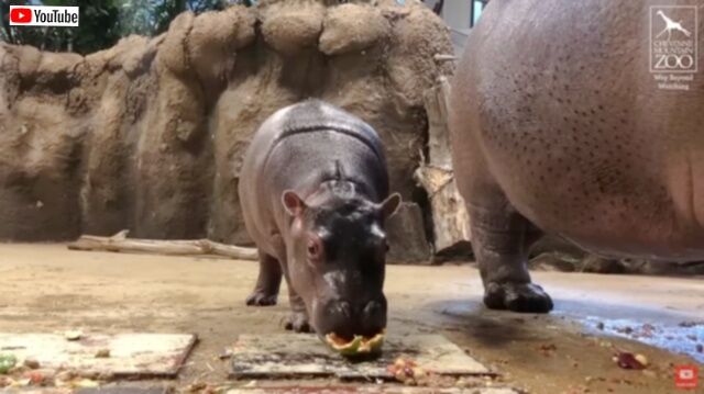 20230824_073453 (6)_batch