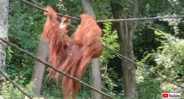 20231020_220531_batch