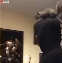 bestpets201910_1