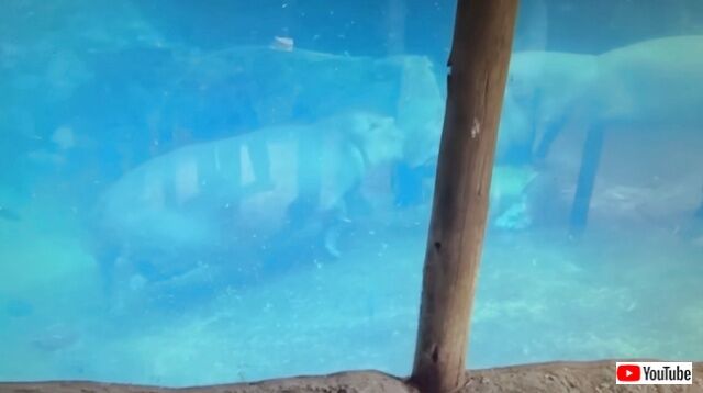 20221028_235514 (4)_batch