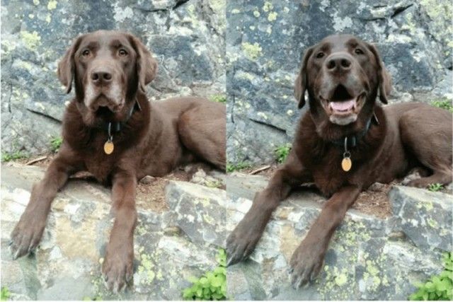 goodboy13_e