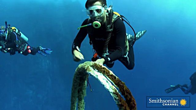 whaleshark6
