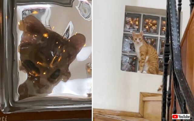 20221213_194124 (2)_batch