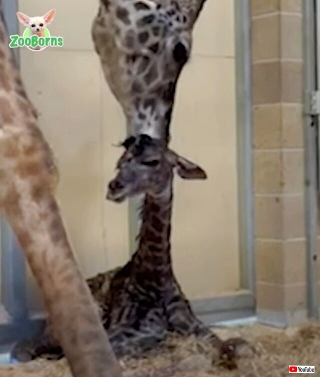 20230130_114409 (5)_batch