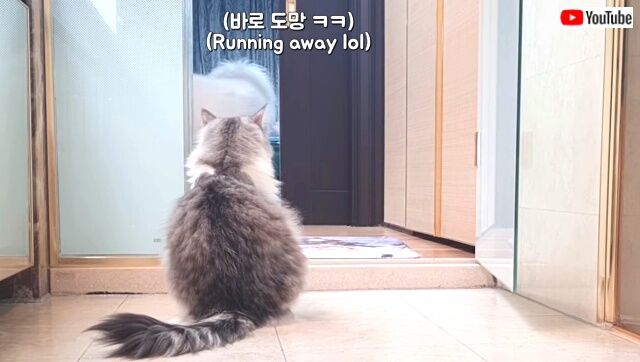 milky2_640