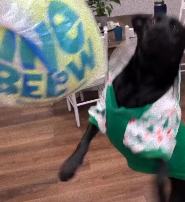 20240327_042444 (8)_e