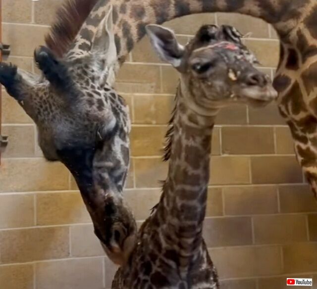 20230130_114409 (3)_batch