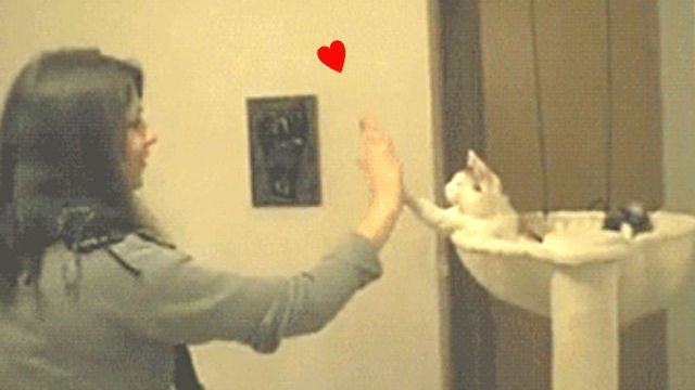 high5_e