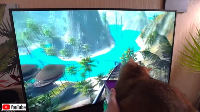 rollercoaster1_640