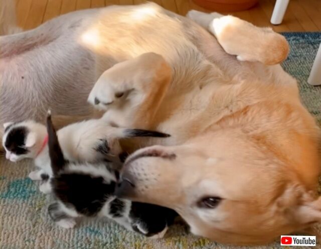 20230503_163354 (3)_batch