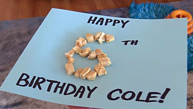 happybirthdaycole8