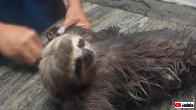 20220509_122023 (2)_batch