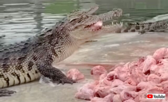 20231109_075433 (7)_batch