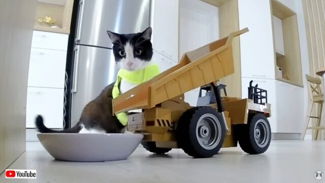 20230401_110531 (3)_batch