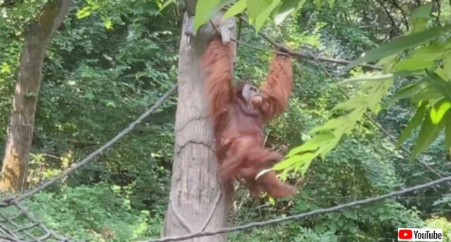 20231020_220531 (4)_batch