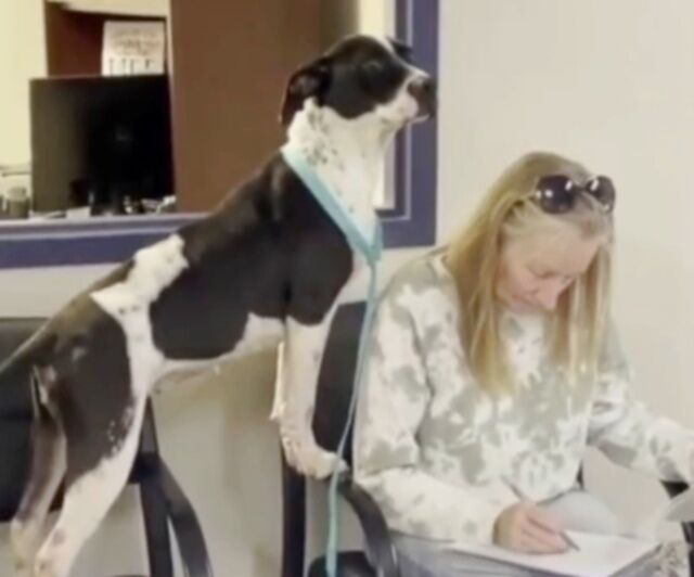 20240130_031153 (3)_batch