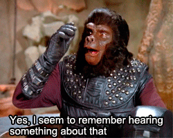 animalfacts5