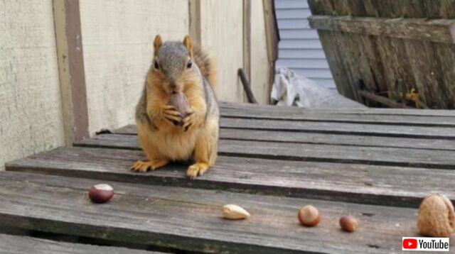 20231215_075959 (6)_batch