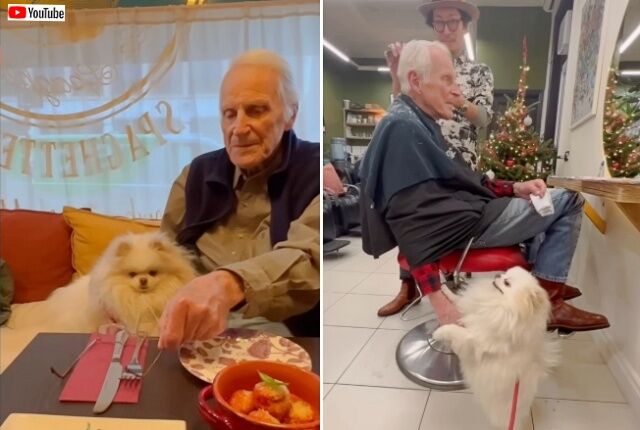 20230415_131506 (2)_batch