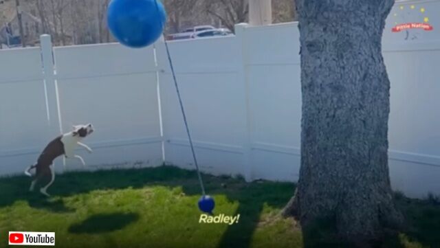 20230727_212310 (2)_batch