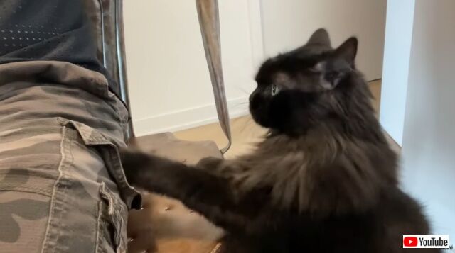 20220521_033413 (2)_batch