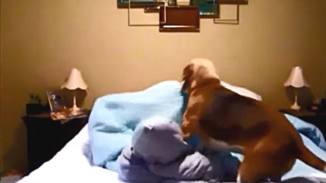 bedmaiking5