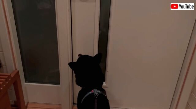 opendoor1_640
