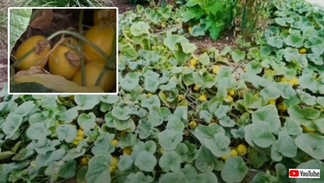 20231107_192709 (5)_batch