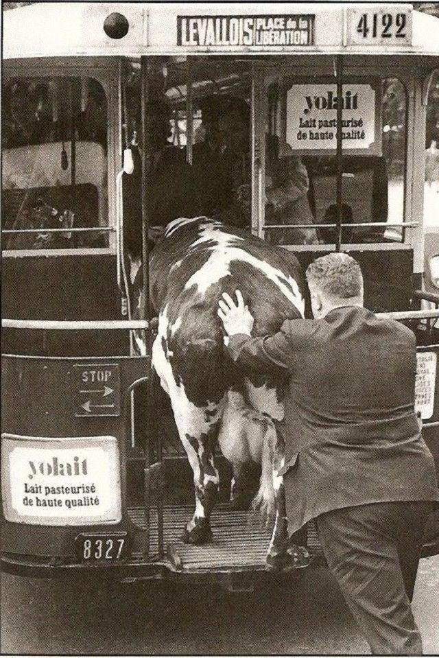 vintagephoto11_e