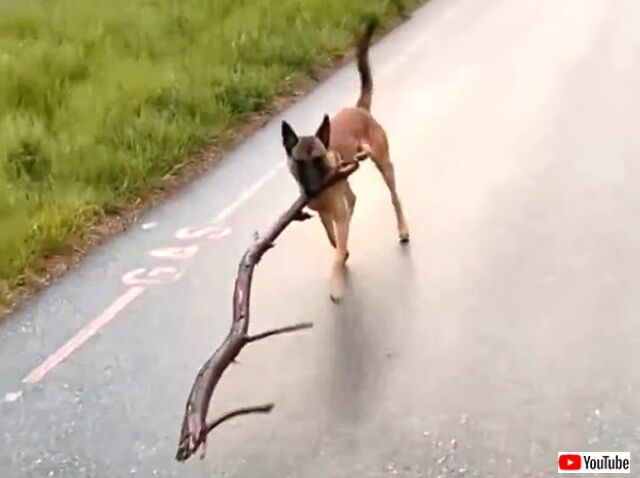 stick2_640