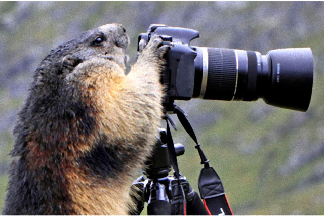 photographers21_e