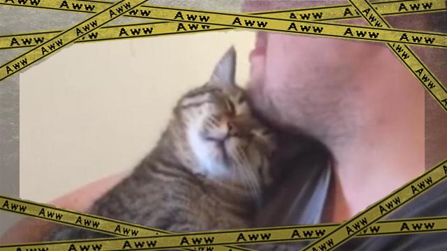 cat-3 [www-frame