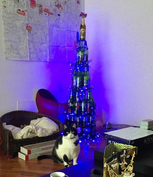 image-585ae95451bc5__605_e