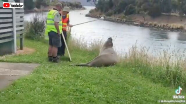 20240302_043651 (3)_batch