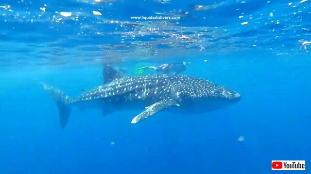 maldives4_640
