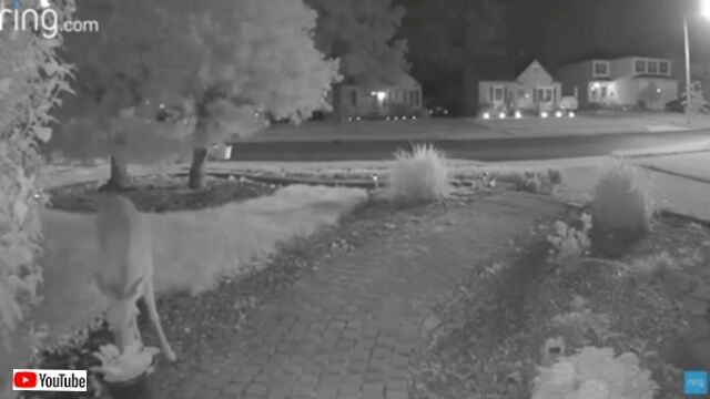20231214_115644 (2)_batch