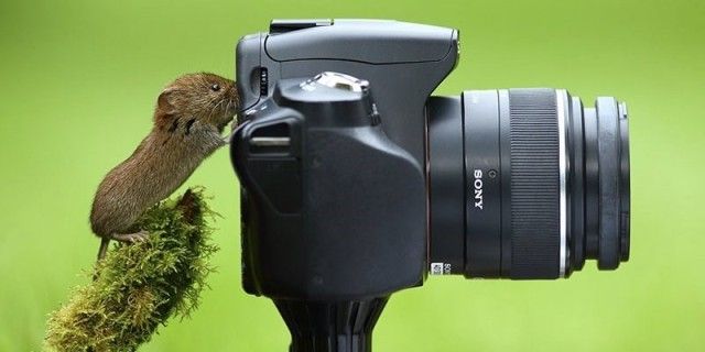 photographers12_e